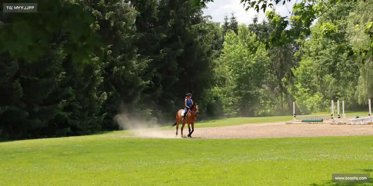 milan米兰🥊握紧拳头,每一次对抗都是成长的勋章!